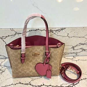 🍶Coach Pink Signature Canvas Crossbody Tote